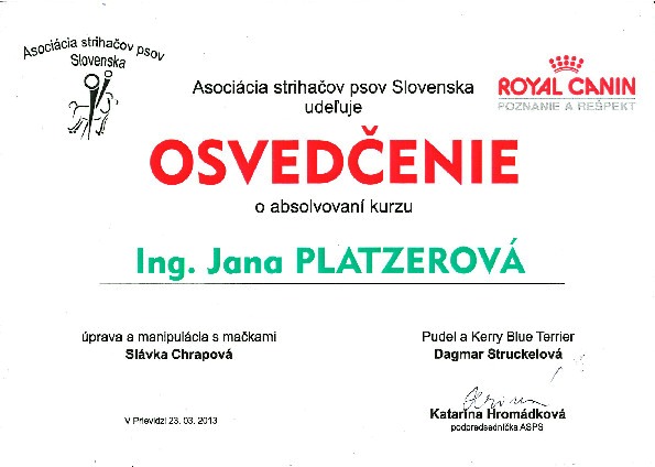 Image310520115031